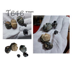 เงินพดด้วงเก่า-T646-