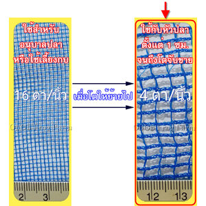รุ่นมุ้งฟ้าถัก 4 ตา/นิ้ว