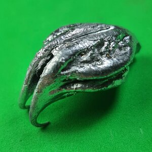 ปกป้องคุ้มครอง