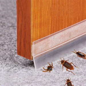 ชีลกันเเมลง