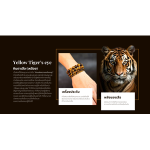พลังของหินตาเสือ Yellow Tiger's eye