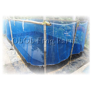 กระชังบก