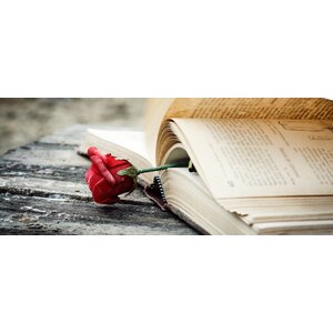 นิยายชุด