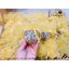 ของชำร่วยงานศพ แก้วน้ำชาลงทอง 2.5 นิ้ว (แก้วเล็ก)