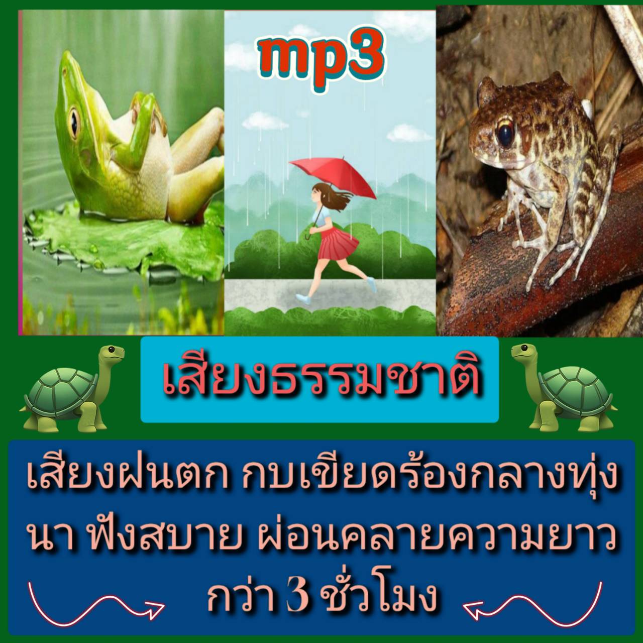 [พรเทวะ] แฟลชไดร์ฟ Mp3 เสียงธรรมชาติ เสียงฝนตก กบเขียดร้องกลางทุ่งนา ฟังสบาย ผ่อนคลาย ความยาวกว่า 3 ชม. ใช้กับเครื่องเล่น USB/mp3 ทุกชนิดหรือเปิดฟังในรถยนต์เปิดในคอมพิวเตอร์ได้ *** สามารถ โหลดใส่มือถือ ฟังได้ ** เปิดในคอมพิวเตอร์ได้ USB-MP3 คือ แฟลชไดร์ฟท