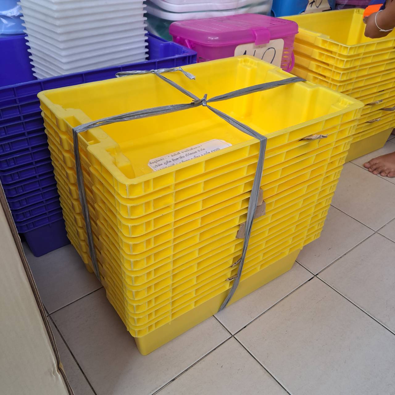ลังปลาทึบ 114