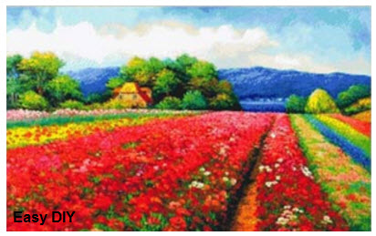 ทุ่งดอกไม้สีแดงสดใส