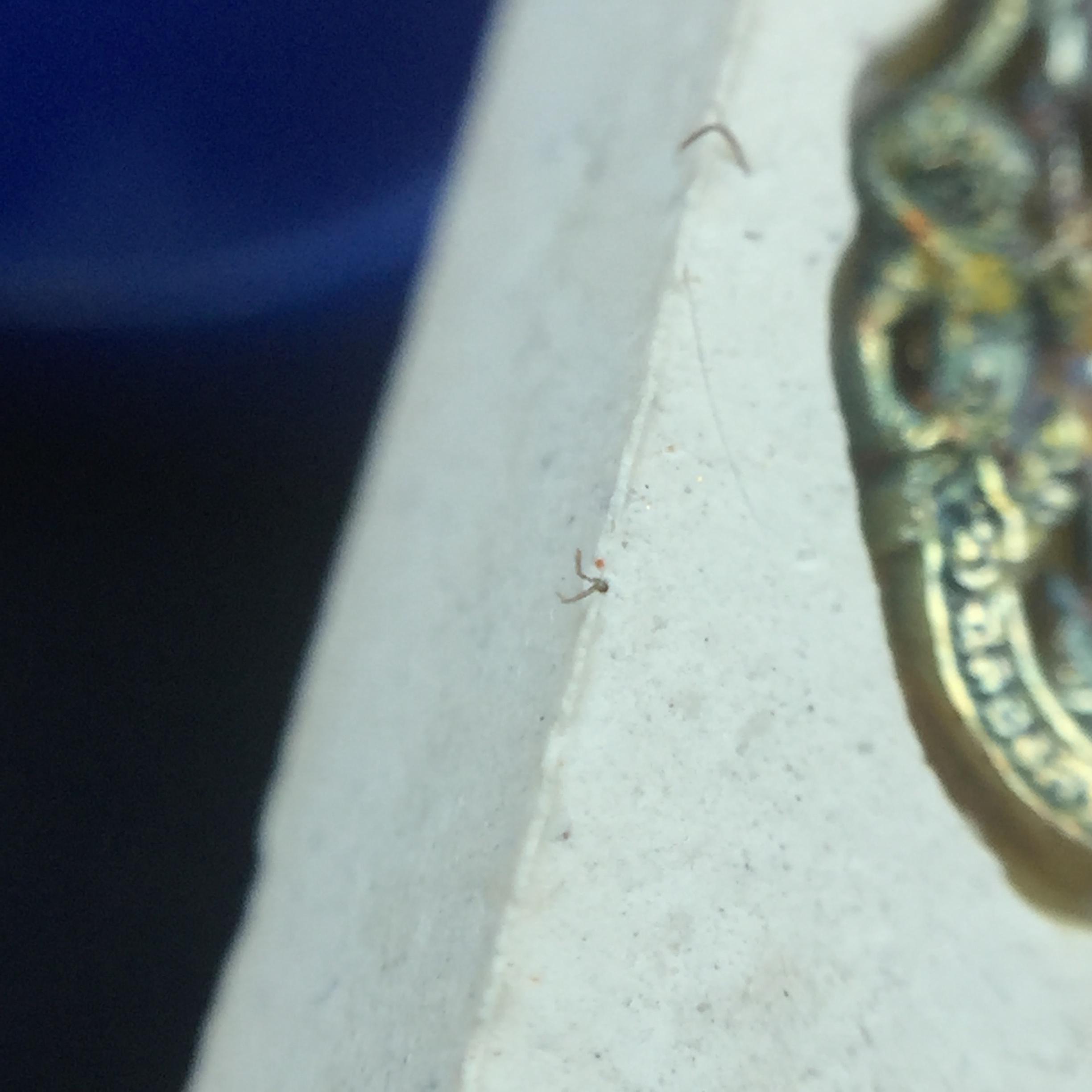 พระแก้วมรกต(จำลอง)ทรงเครื่องฤดูร้อน พระผงบูชา ด้านหน้าปิดทอง ด้านหลังตราฉลองสิริราชสมบัติครบ 60ปี เนื้อเงินขึ้นสีรุ้งธรรมชาติสร้างสรรค์งดงาม(รุ่นนี้ได้พระราชทานเส้นพระเจ้า(เส้นผม)รัชกาลที่9ในการจัดสร้าง)***องค์นี้พิเศษมองเห็นเส้นผมติดอยู่ด้านหลังชัดเจน***