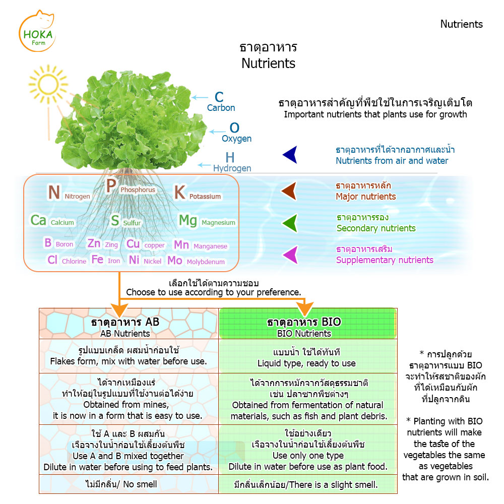 [ชุดถังน้ำ] ที่ปลูกแนวตั้ง 6 ชั้น ปลูกได้ 24 ต้น พร้อมอุปกรณ์การปลูก ครบเซต
