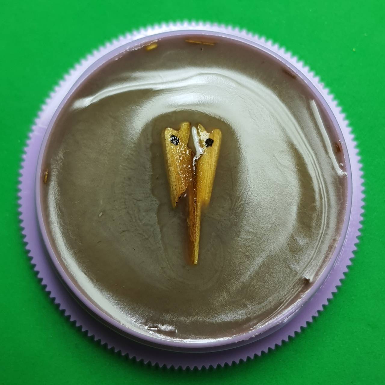 ของนำโชค สีผึ้ง สาริกา ไม้กาหลง สีผึ้งเจรจาค้าขาย สีผึ้งค้าขายดี สีผึ้งแท้ สาริกาลิ้นทอง สาริกามหาเสน่ห์ สาริกามหาลาภ สาริกาให้โชค สาริกาค้าขาย