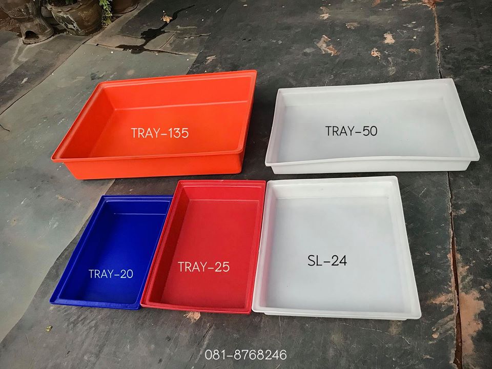 ถาด TRAY-50