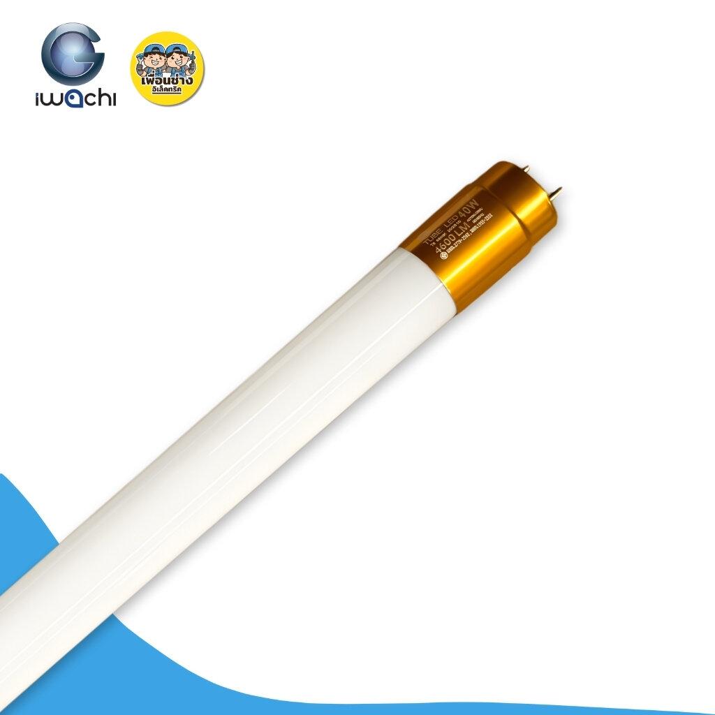 **เฉพาะหลอด** IWACHI ยกลัง เฉพาะหลอด T8 รุ่น TUBE LED 20W 40W ยกลัง 30 หลอด ไฟเข้า 2 ทาง