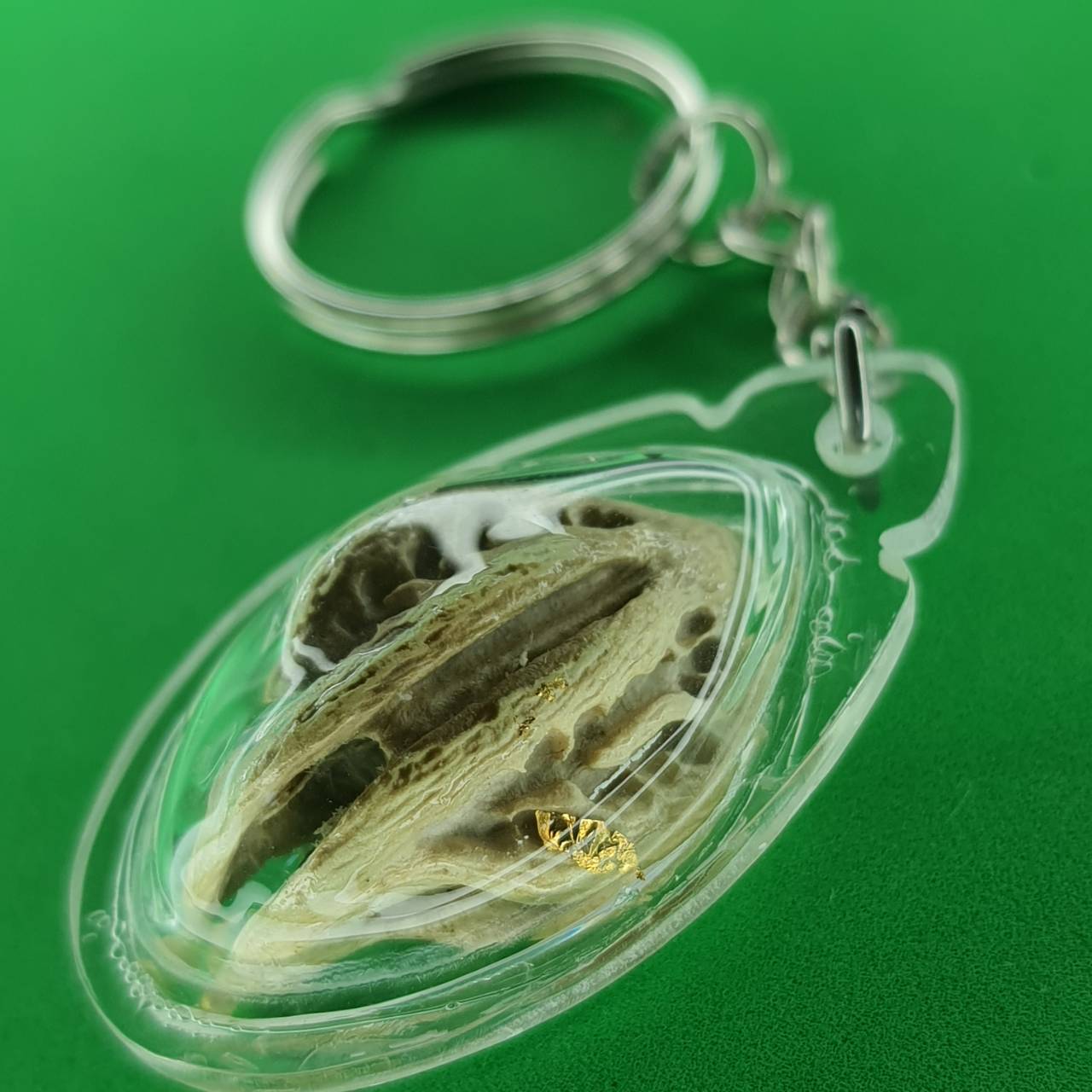 ของป้องกัน เล็บครุฑแบบพวงกุญแจ สีขาว เล็บครุฑ ผลเล็บครุฑ ของแท้ เล็บพญาครุฑ