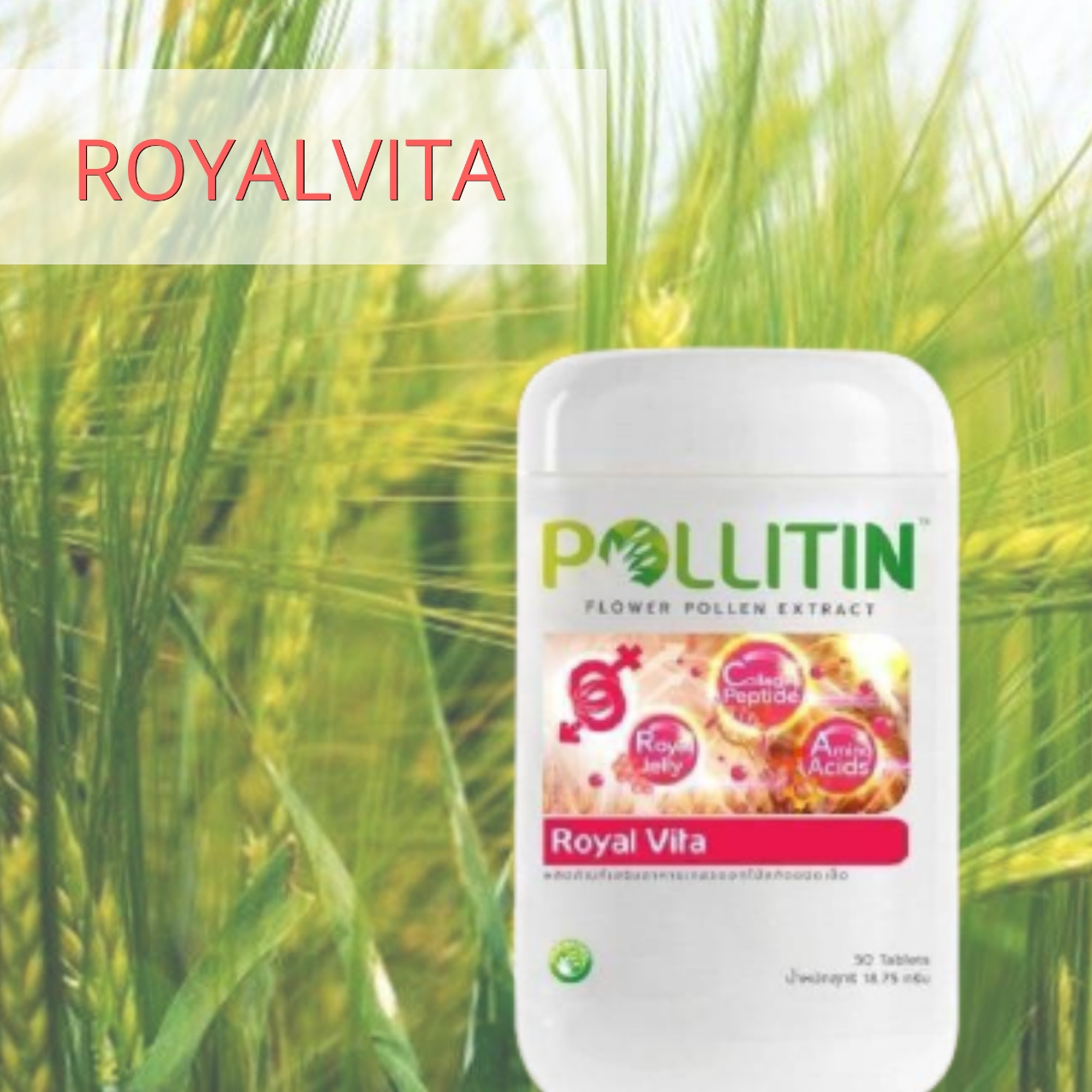 พอลลิติน พอลลิตัน Pollitin Polliton Royal vita รอยัลไวต้า(เสริมสมรรถภาพ)