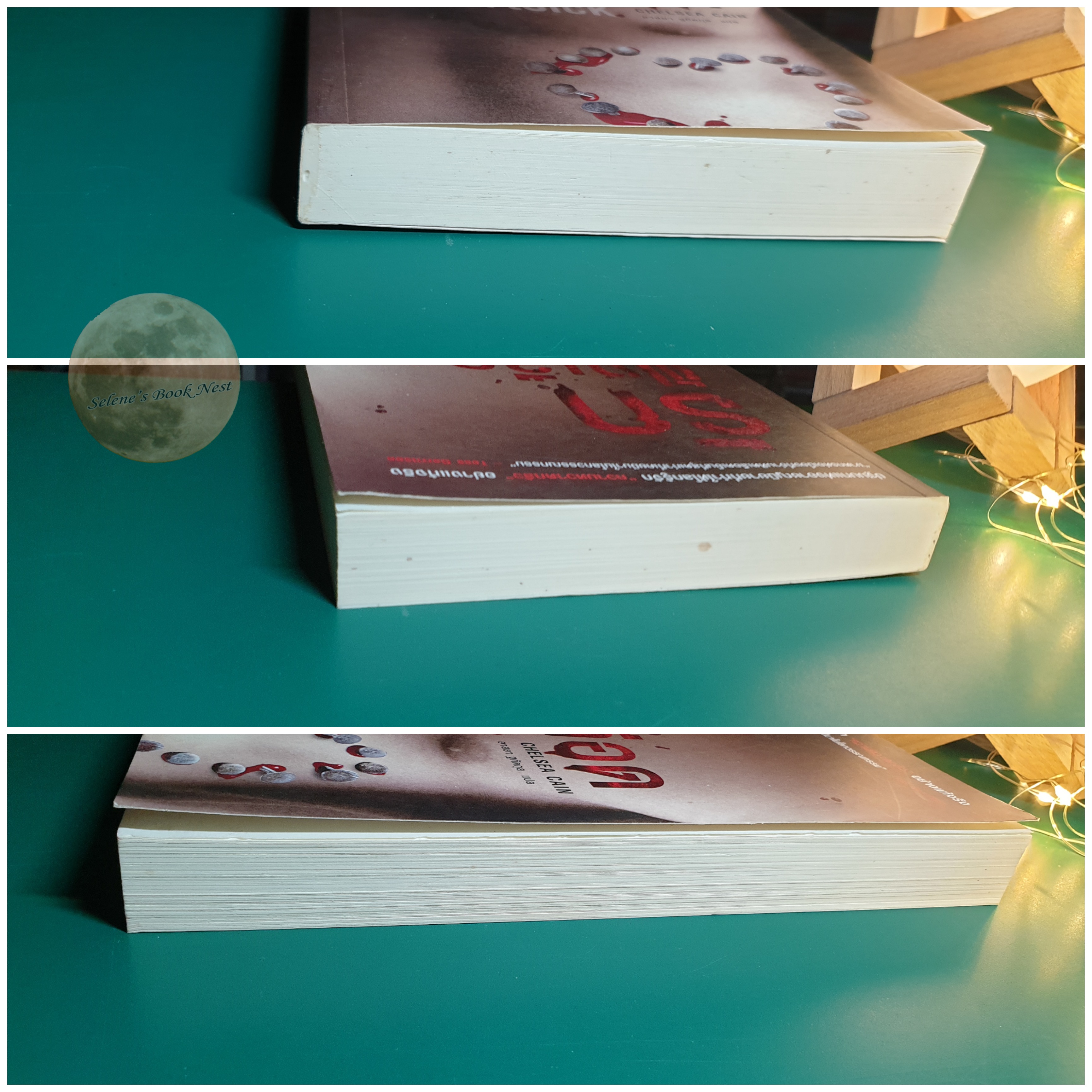 รักฝังเลือด (HeartSick) / Chelsea Cain