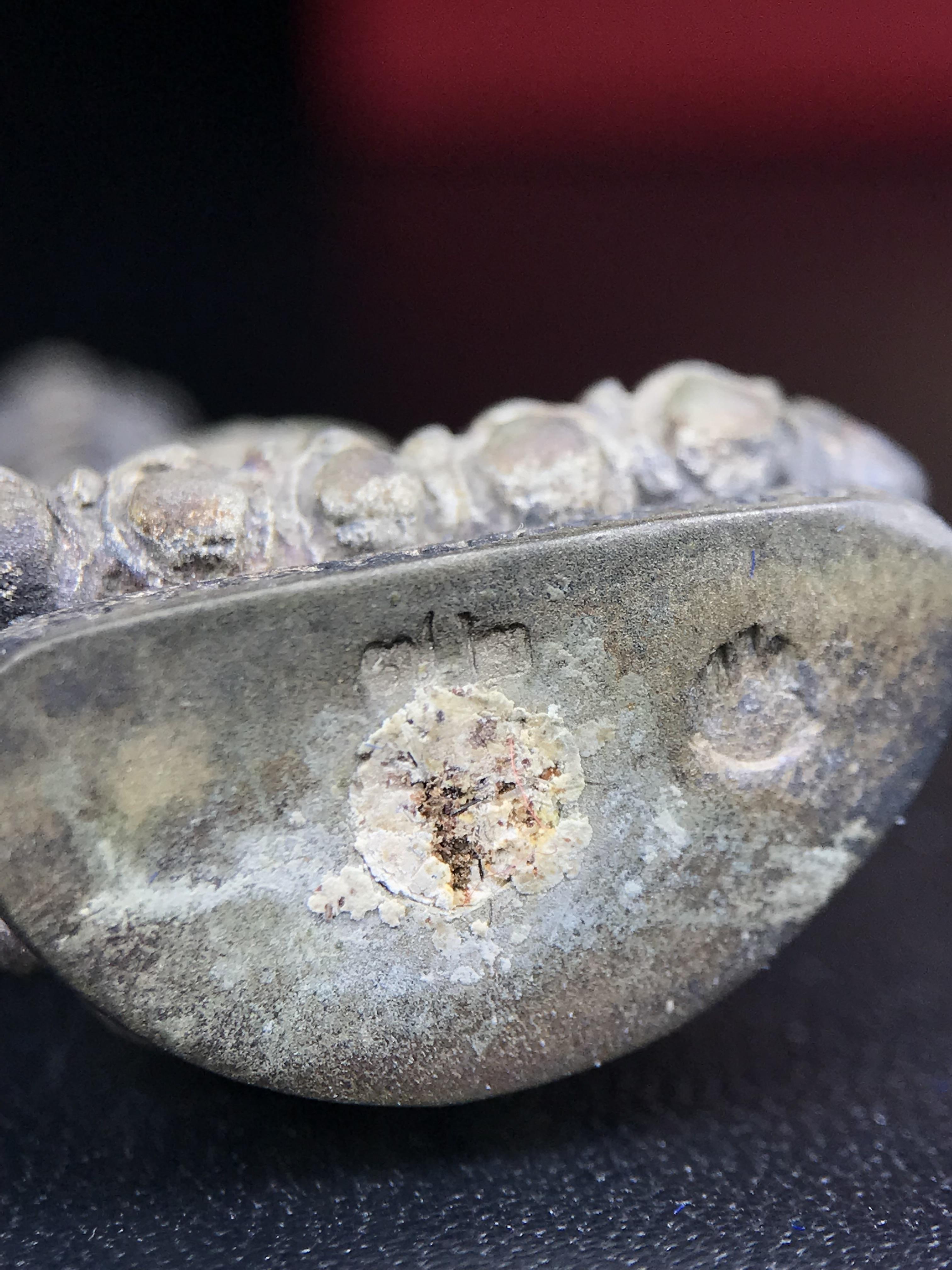 พระอวโลกิเตศวร (เจ้าแม่กวนอิม) วัดบวรนิเวศวิหาร ปี 2538 เนื้อเงินพ่นทราย อุดผงจิตรลดา เกศาสมเด็จพระสังฆราช วัดบวรนิเวศวิหาร(พบเจอน้อยหายาก)