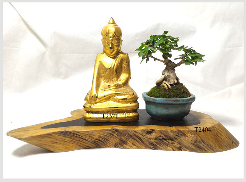 ฐานไม้มะเกลือ(African Ebony) ทรงรี หลายขนาด มีลิ้งค์แยก