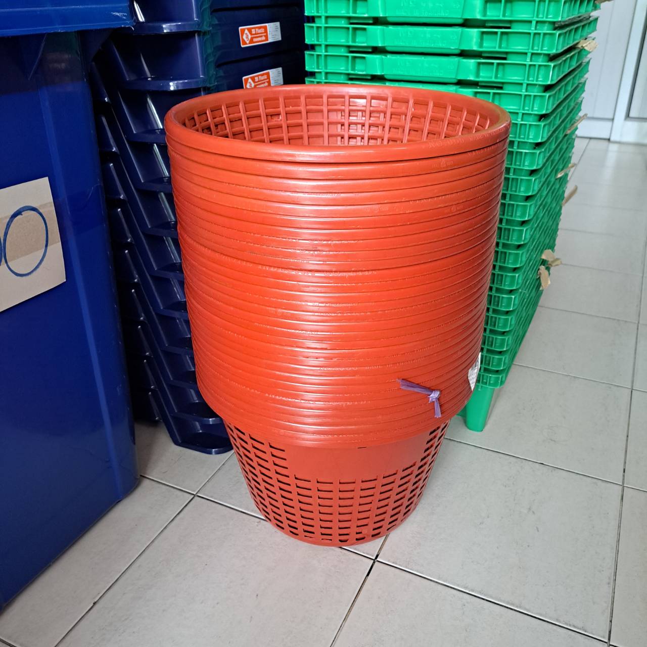 หลัวองุ่น 055