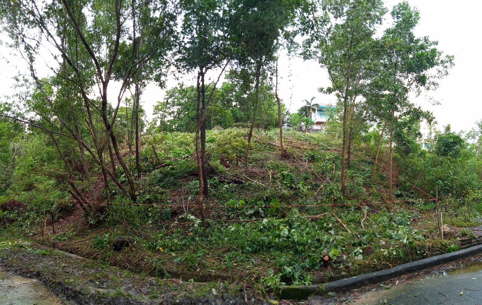For Sales : Land Kathu, Near Phumontra , 323 Sq.w.
