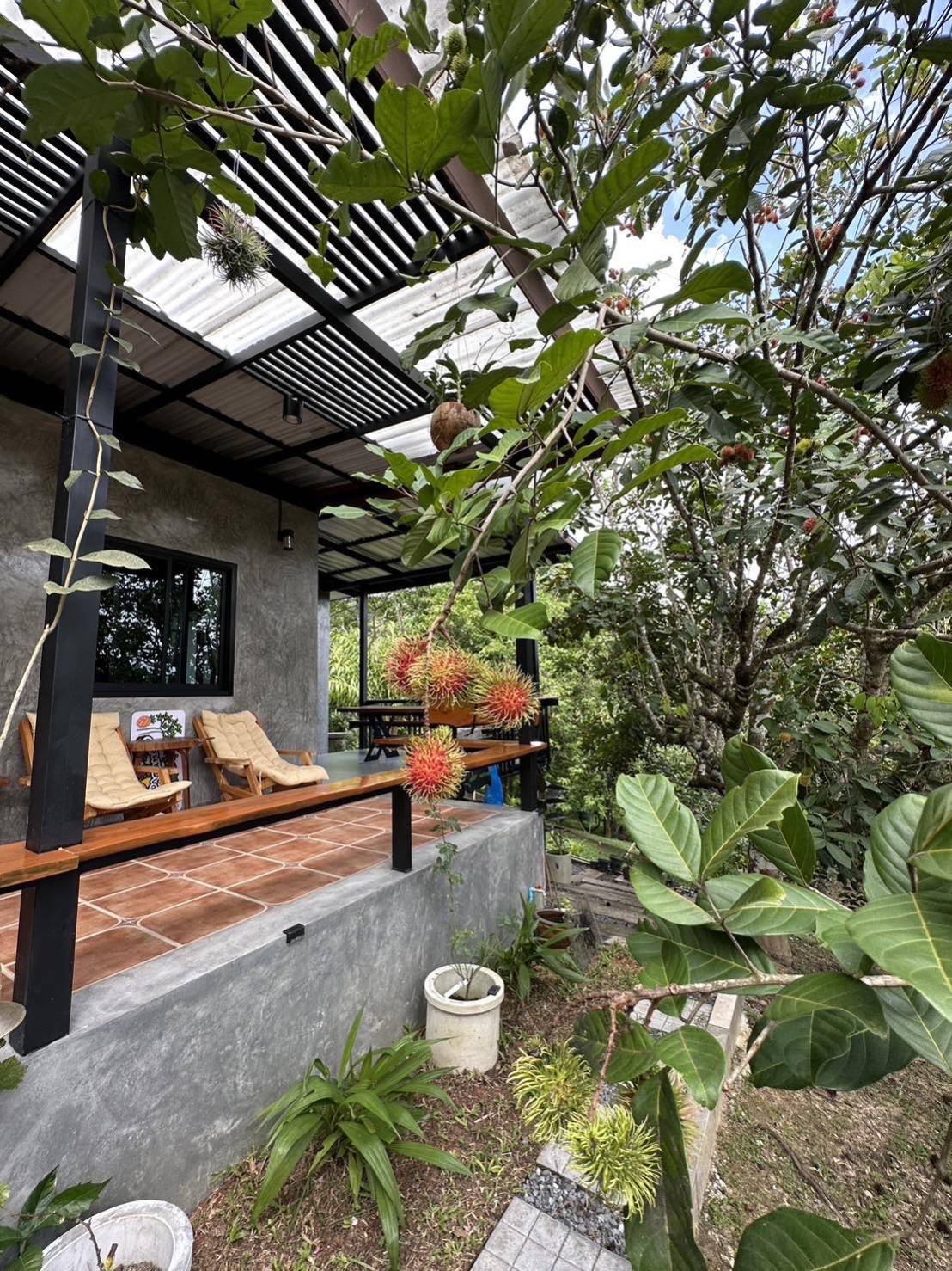 For Rent : Thalang, Single-storey detached house, 2 bedrooms 2 bathrooms