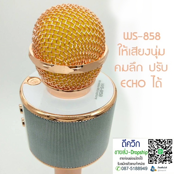 WS-858 Wireless Bluetooth HIFI Karaoke Microphone MIC – ROSE GOLD