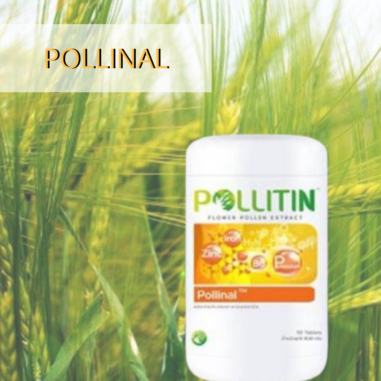 พอลลิติน พอลลิตัน Pollitin Polliton Pollinal พอลลินอล (วัยทอง)