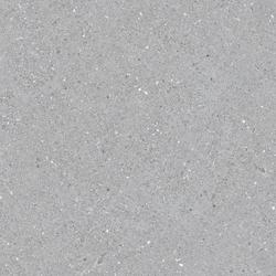 FT 60X60 พาโบล เทาอ่อน (POL) R/T PM