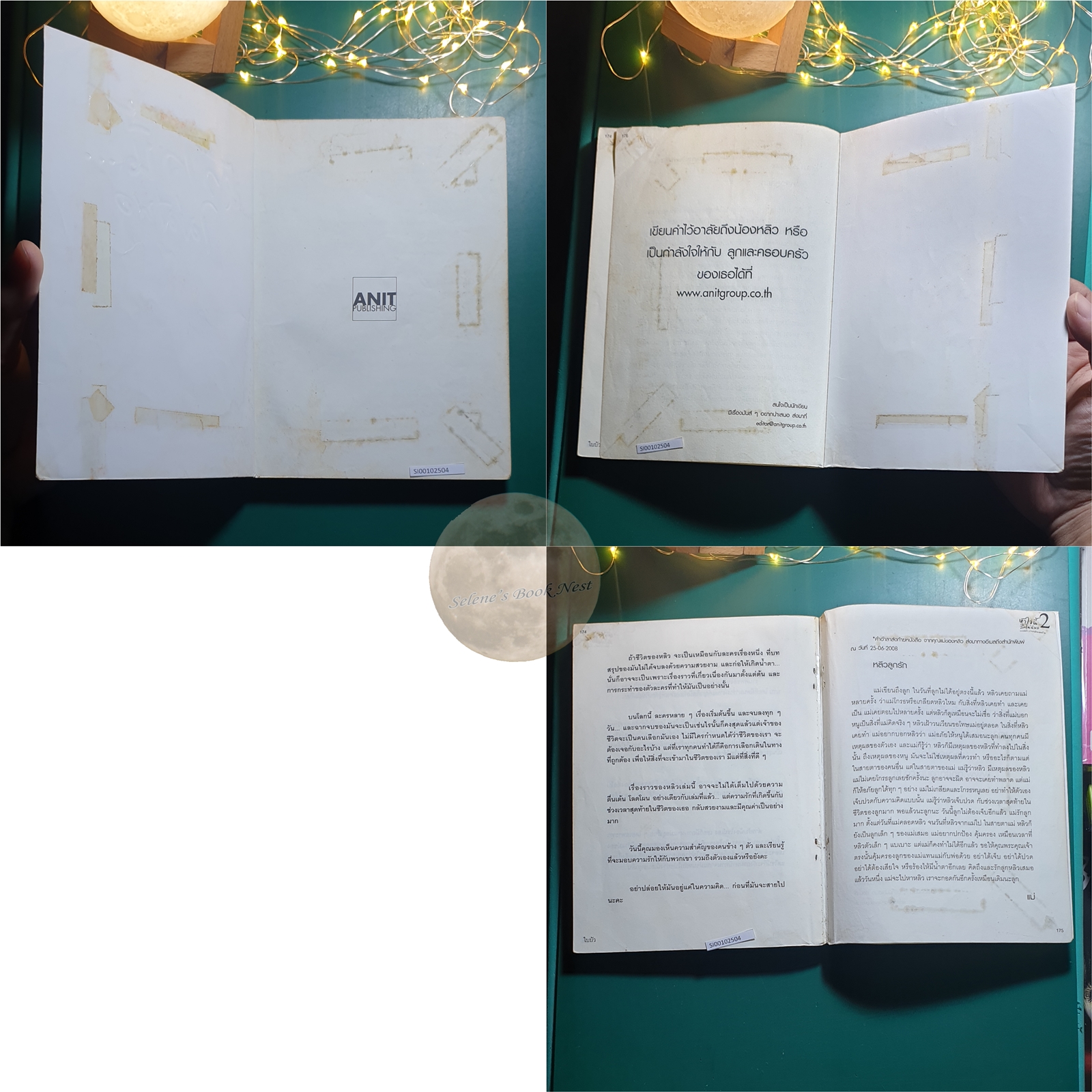 หัวใจนี้ไม่มีพอ 2 (The Last Diary) / ใบบัว