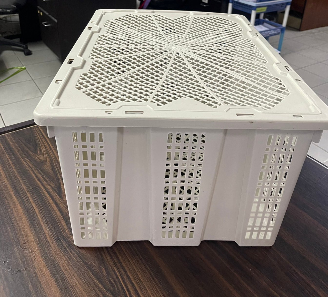 ตะกร้าลองกอง 185 B