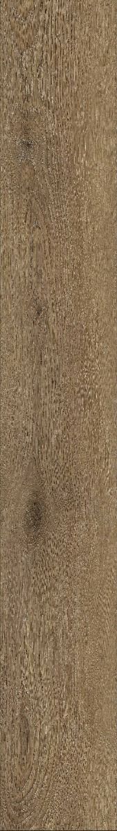 LT 22.6x152 ลิบรา โอ๊ค CK06 (4/0.3 mm)