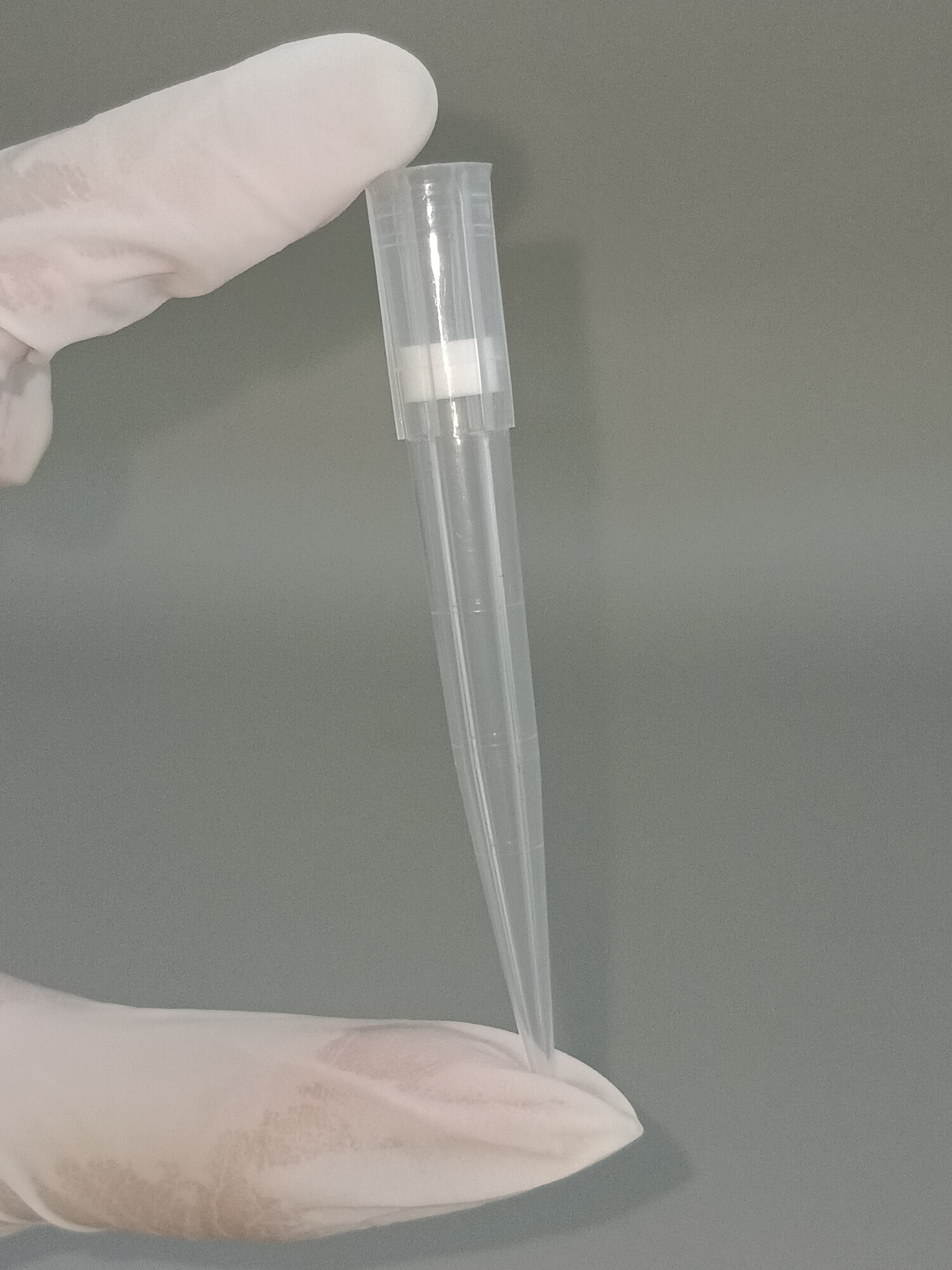 (ราคายกกล่อง) Filter tip ทิปมีตัวกรองแบบยาวปราศจากเชื้อ ขนาด 10 ,20 ,50,100,200,300,1000,1250 ไมโครลิตร 96ชิ้น/rack ,10 rack/box