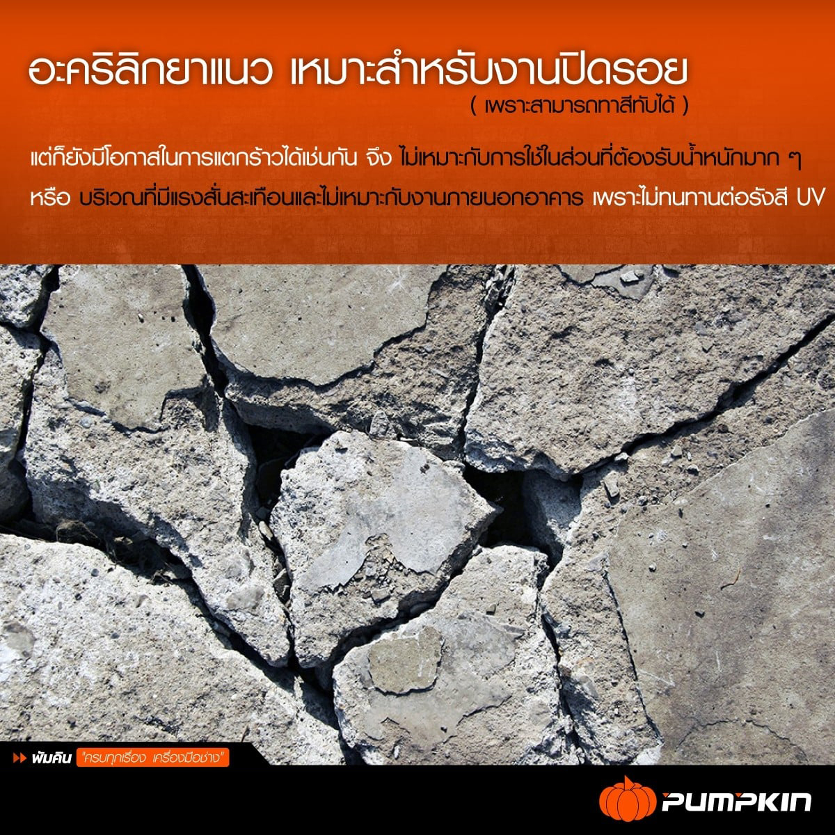 20015 Pumpkin พัมคิน อะคริลิคยาแนว FIXTECH ยืดหยุ่น ยึดเกาะดี ทาสีทับได้ กาวอะคริลิคยาแนว สีขาว 450g. อะคริลิค แด๊ป แด็ป แดป แด๊ฟ แด๊บ