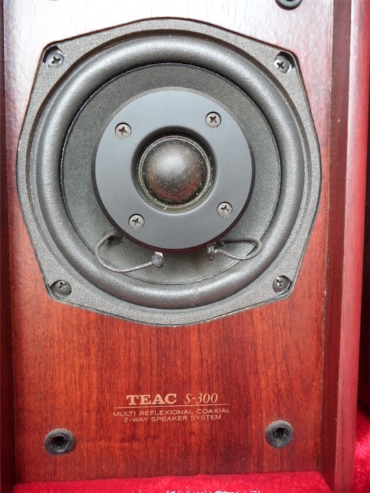 Subwoofer + กลางแหลม ยี่ห้อ TEAC รุ่น SW-P100 + S-300 (Made in Japan)