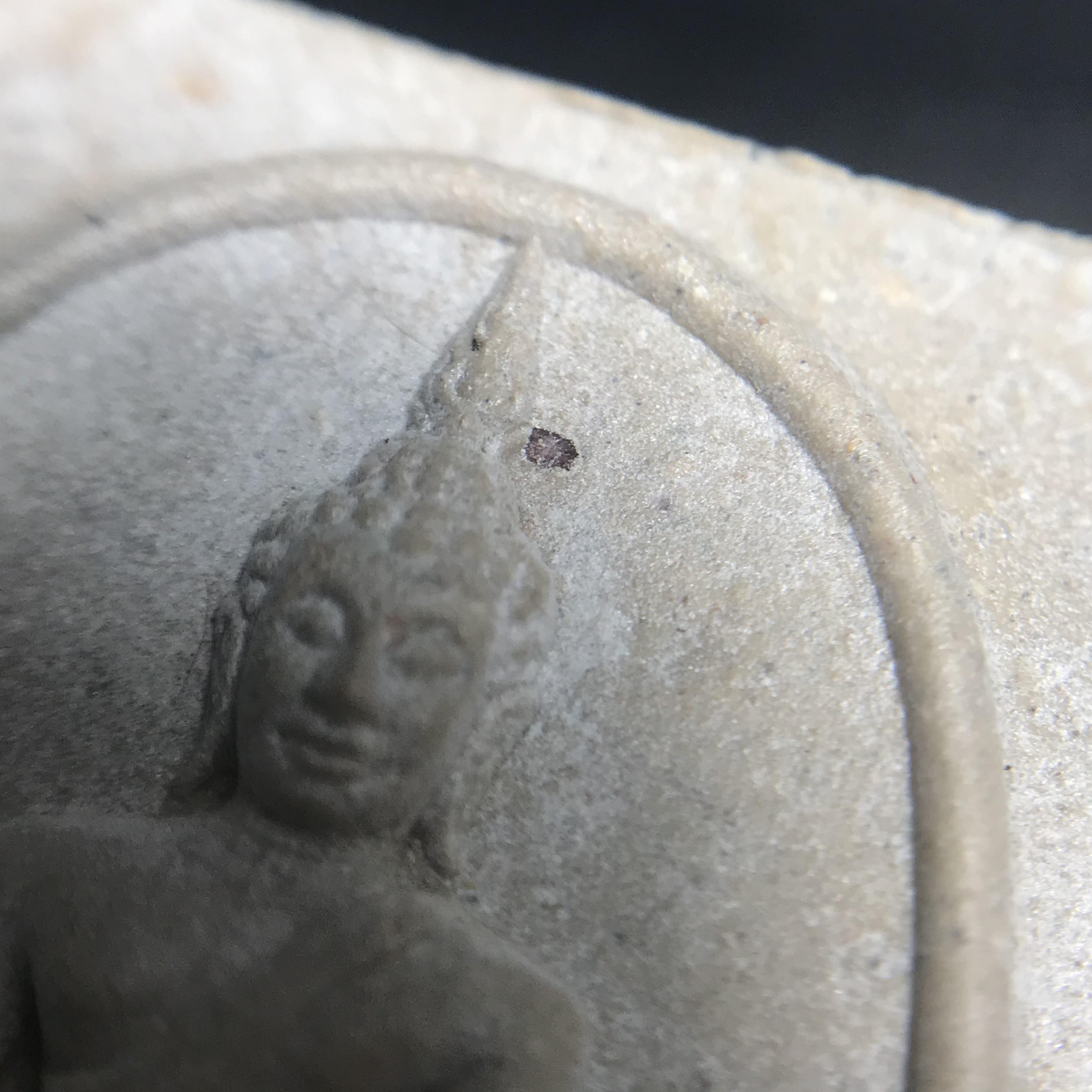 พระพุทธชินสีห์ ภปร. ทันโต เสฏโฐ ปี2533 พิมพ์ใหญ่ พร้อมใบรับรองบรรจุพระทนต์ในหลวง รุ่นเดียวในประวัติศาสตร์ ****รุ่นนี้ขอแนะนำ****(องค์พิเศษมีพลอยแดงติดด้านหน้า พบเจอหายาก))