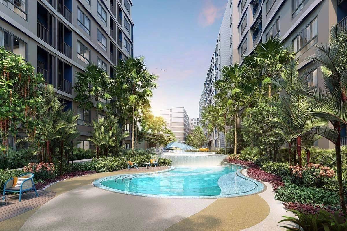 For Rent : New condo in Kathu zone, 1 Bedroom 1 Bathroom, 5th flr.