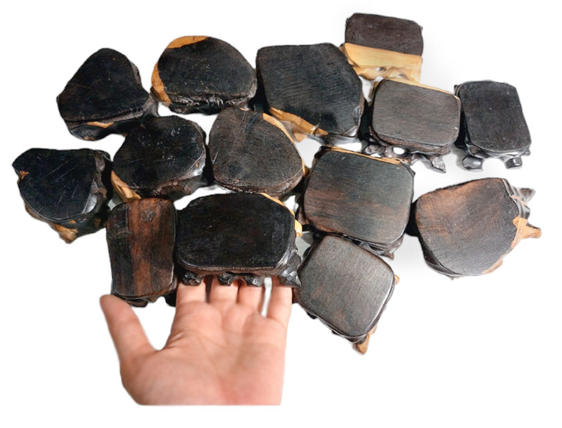 ฐานไม้มะเกลือแอฟริกันเล็กๆ--BPT931--