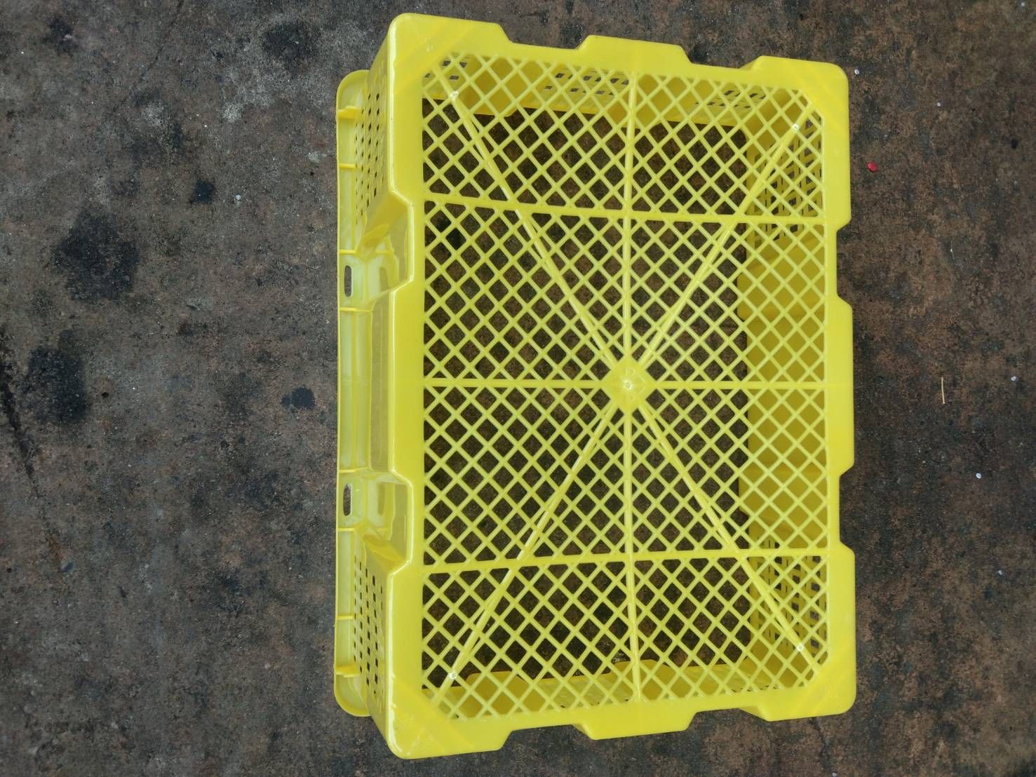 ตะกร้ามังคุด 006R