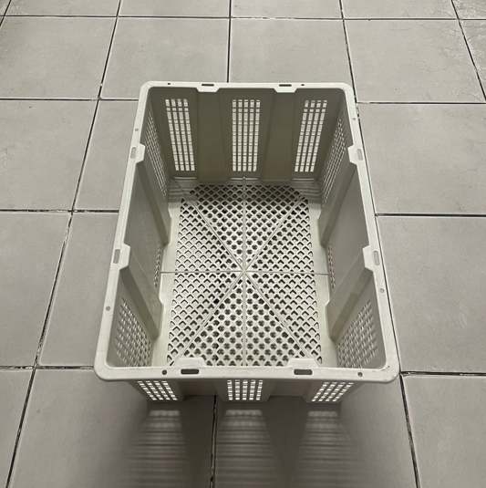 ตะกร้าลองกอง 185 B