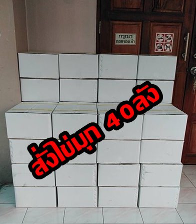 เม็ดไข่มุกไต้หวัน สีดำ ยกลัง 18ห่อ