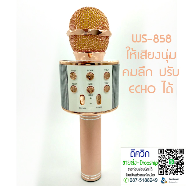WS-858 Wireless Bluetooth HIFI Karaoke Microphone MIC – ROSE GOLD
