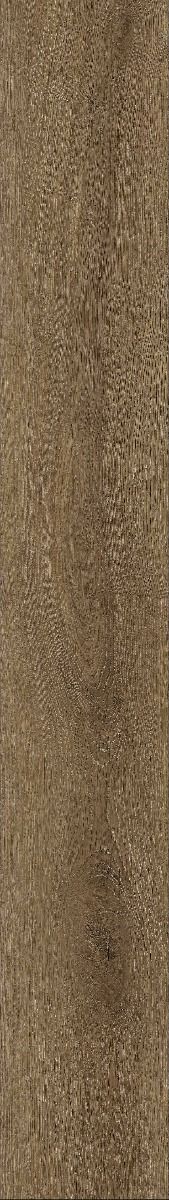 LT 22.6x152 ลิบรา โอ๊ค CK06 (4/0.3 mm)
