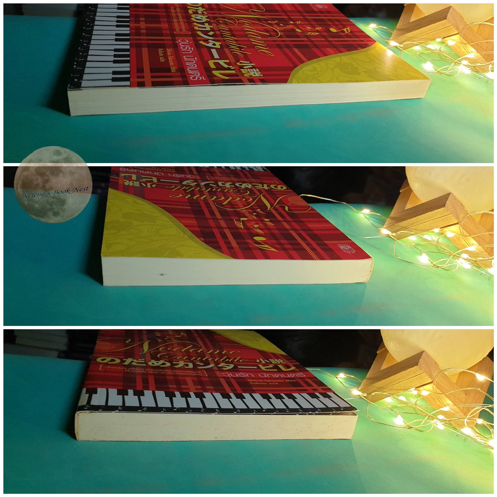 วุ่นรัก นักดนตรี (Shousetsu Nodame Cantabile) / Shiina Tahasato
