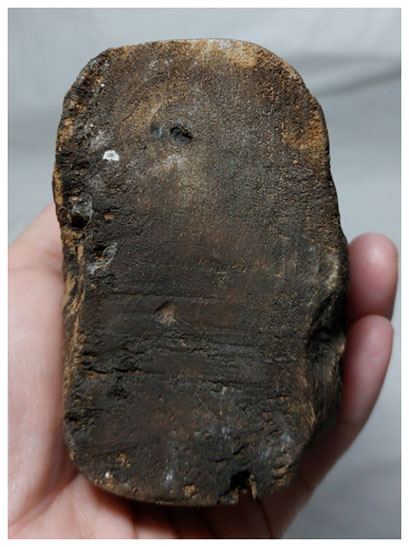 สังกัจจายน์ ไม้เก่า-BPT707-