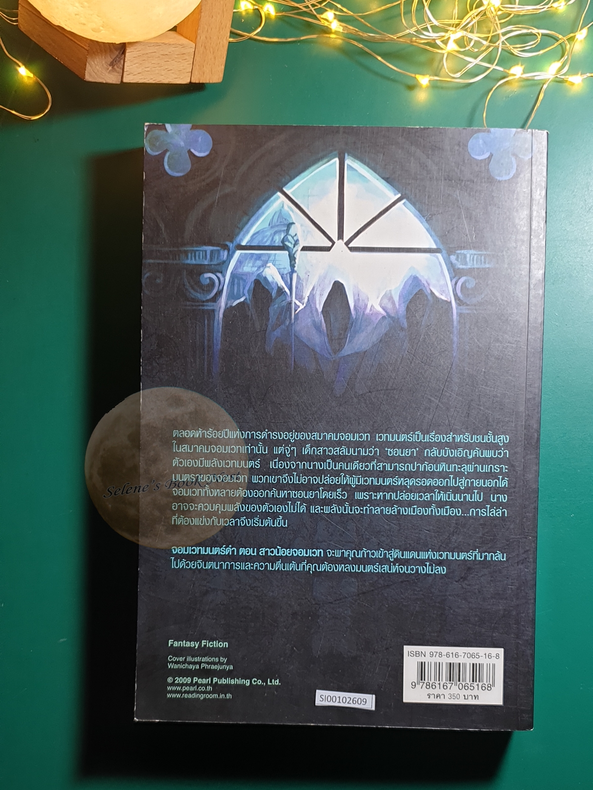 The Black Magician Trilogy (จอมเวทมนตร์ดำ) #1 สาวน้อยจอมเวท (The Magicians' Guild) / Trudi Canavan