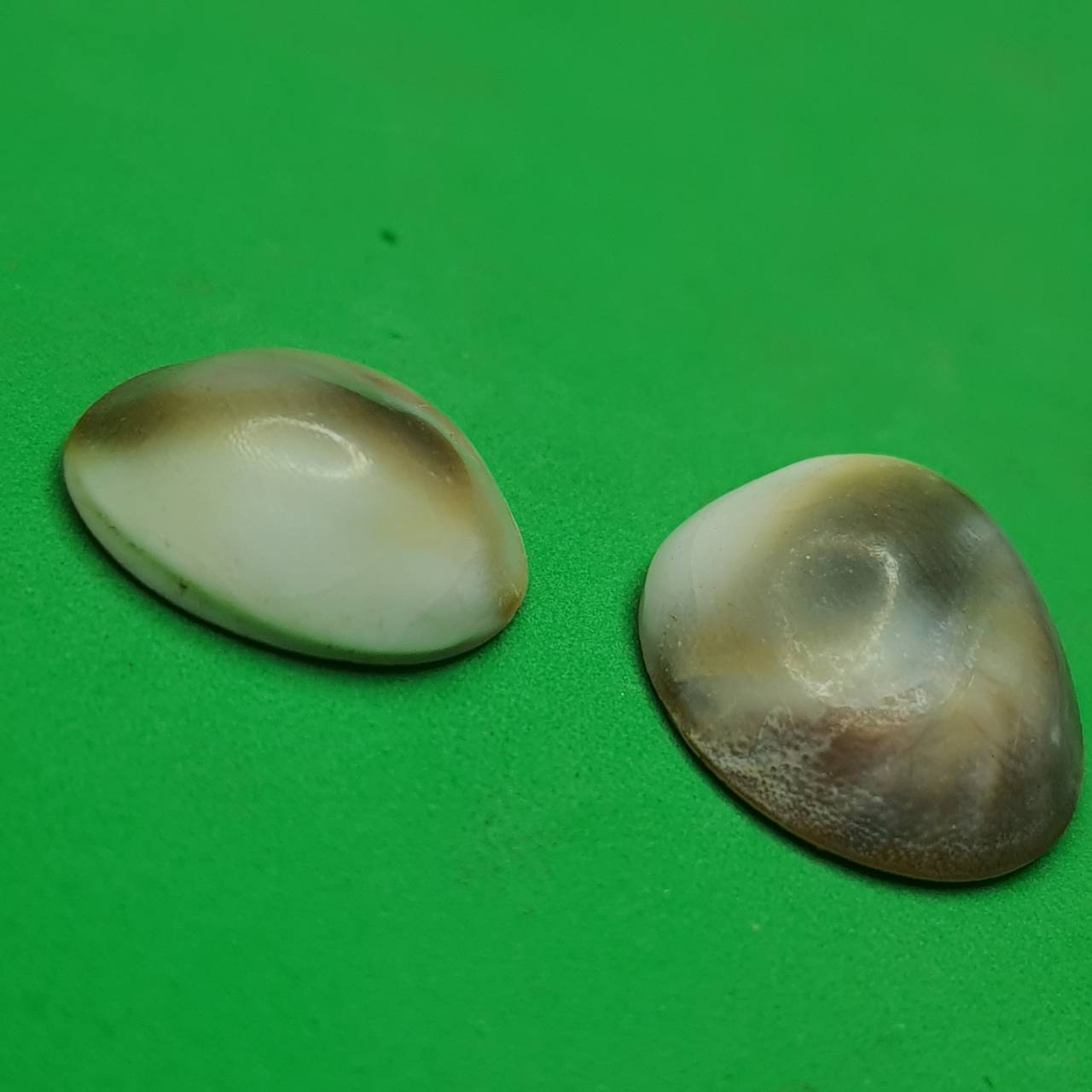 อิ่นอ้อยออยเงิน ให้โชคลาภ ค้าขายดี (ตัวเล็ก ขนาด 1.5-2 ซม. 1 คู่ แถม 1 คู่)