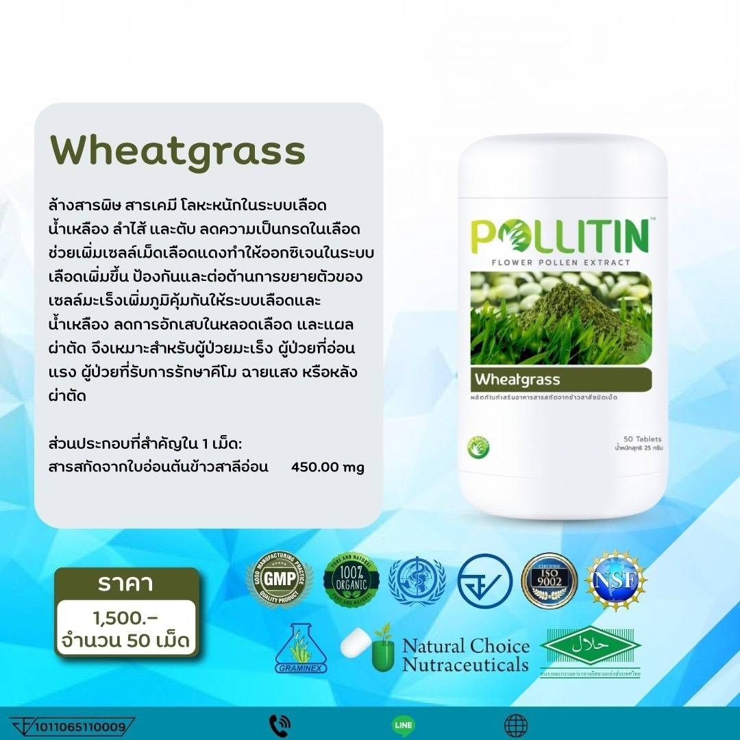 พอลลิติน พอลลิตัน Pollitin Polliton Wheatgrass วีทกราส(ขับล้างสารพิษสารเคมีลำไส้)
