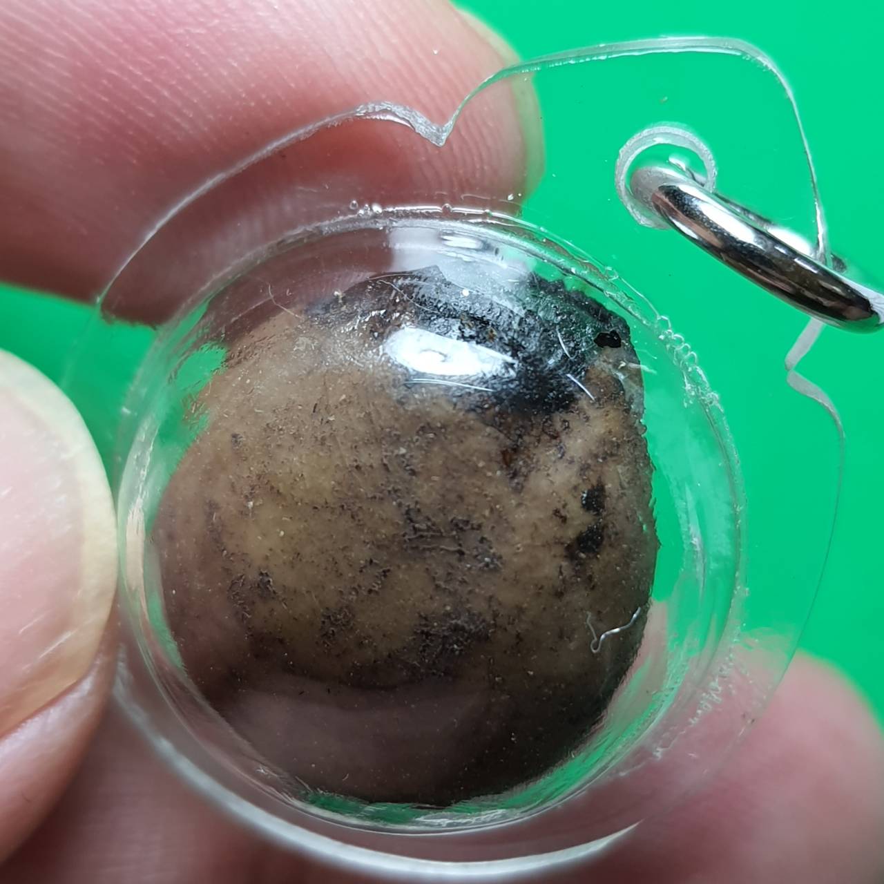 ของเสน่ห์ รวมชุดของเสน่ห์แรงๆ หัวใจว่านเสน่ห์สีม่วง นางกวักผงว่านเสน่ห์ ลูกสวาทอุดผงว่านมหาเสน่ห์24ชนิด ของแท้ ปลุกเสกแล้ว