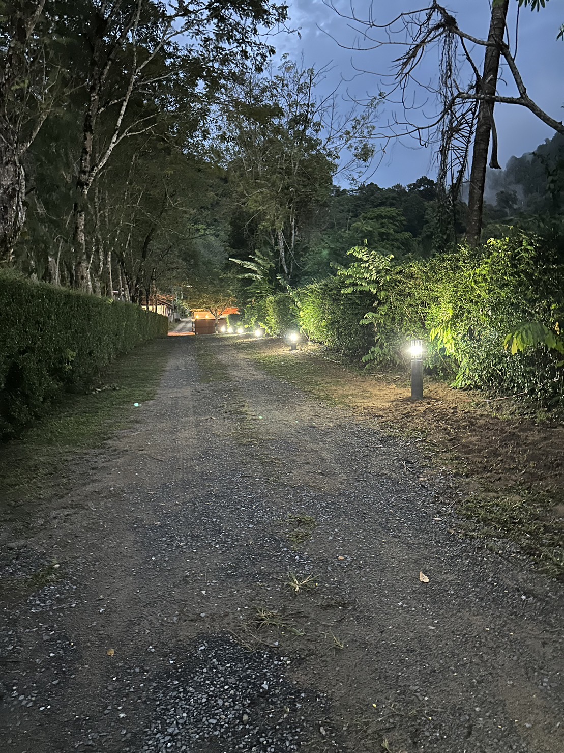 For Rent : Thalang, Single-storey detached house, 2 bedrooms 2 bathrooms