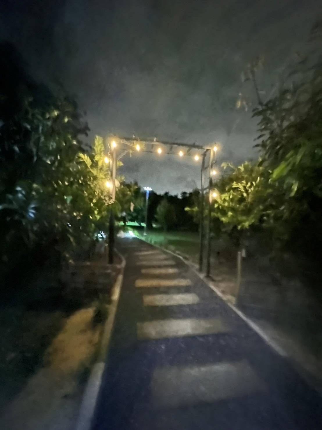 For Rent : Thalang, Single-storey detached house, 2 bedrooms 2 bathrooms