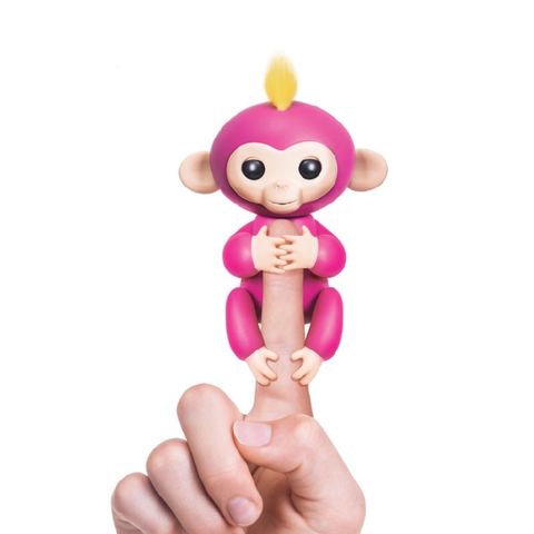 ลิงเกาะนิ้ว Fingerlings Baby Monkeys เกรด AA